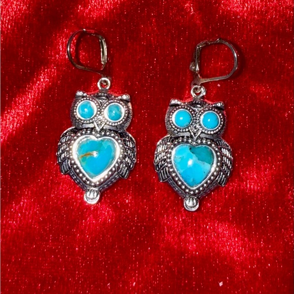 JTV. Like new owl turquoise heart earrings and necklace set. - Picture 3 of 4